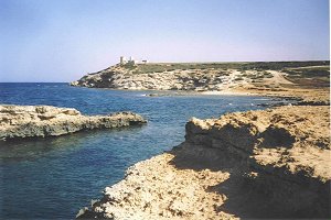 su Pallosu