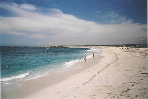 Mare Ermi